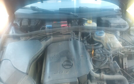 Volkswagen Passat B5+ рестайлинг, 1999 год, 285 000 рублей, 7 фотография