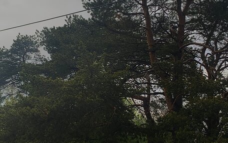 Honda Accord VII рестайлинг, 2003 год, 970 000 рублей, 10 фотография