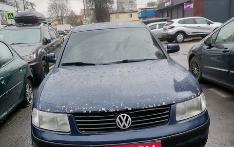 Volkswagen Passat B5+ рестайлинг, 1998 год, 300 000 рублей, 2 фотография