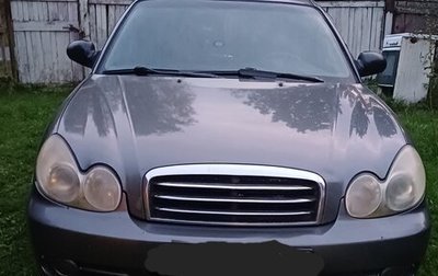 Hyundai Sonata IV рестайлинг, 2006 год, 320 000 рублей, 1 фотография