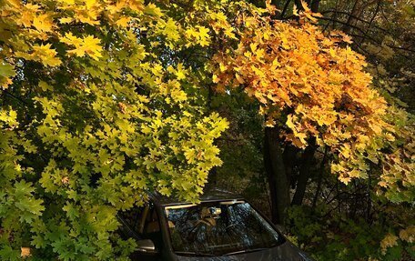 Volkswagen Golf VI, 2009 год, 950 000 рублей, 6 фотография