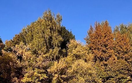 Chevrolet Aveo III, 2014 год, 978 000 рублей, 3 фотография