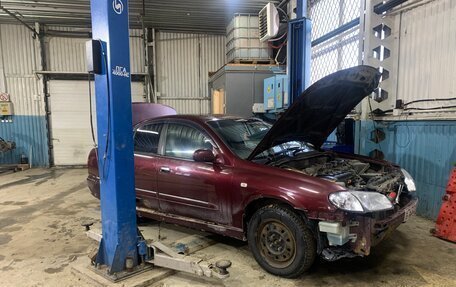Nissan Bluebird Sylphy II, 2002 год, 240 000 рублей, 6 фотография
