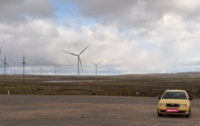 Skoda Fabia I, 2002 год, 230 000 рублей, 1 фотография