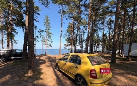 Skoda Fabia I, 2002 год, 230 000 рублей, 2 фотография