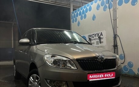 Skoda Fabia II, 2013 год, 690 000 рублей, 1 фотография