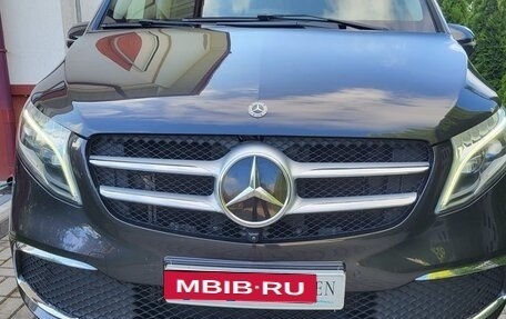 Mercedes-Benz V-Класс, 2019 год, 5 699 000 рублей, 3 фотография