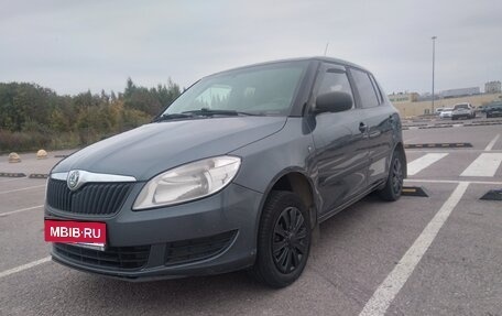 Skoda Fabia II, 2010 год, 335 000 рублей, 1 фотография