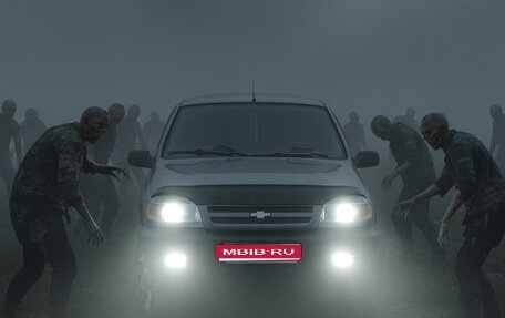 Chevrolet Niva I рестайлинг, 2006 год, 250 000 рублей, 1 фотография