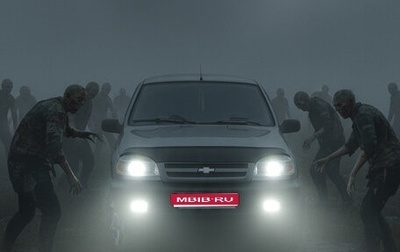 Chevrolet Niva I рестайлинг, 2006 год, 250 000 рублей, 1 фотография