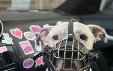 Hyundai Tiburon, 2005 год, 599 999 рублей, 7 фотография