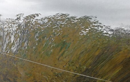 Haval H6, 2019 год, 1 354 000 рублей, 11 фотография