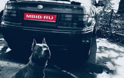 Toyota Cynos, 1998 год, 395 000 рублей, 1 фотография