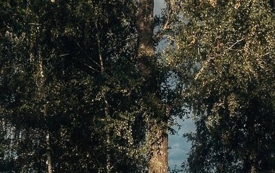 Nissan Skyline, 1990 год, 700 000 рублей, 1 фотография