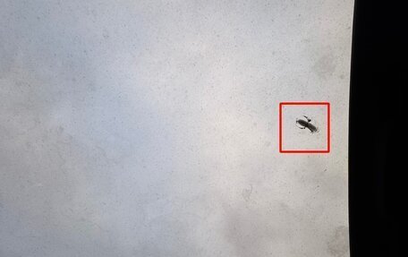 Smart Fortwo III, 2007 год, 800 000 рублей, 14 фотография