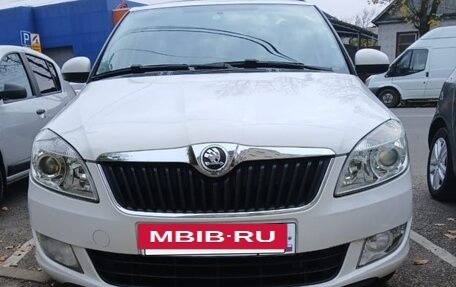 Skoda Fabia II, 2013 год, 870 000 рублей, 14 фотография