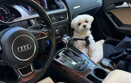 Audi A5, 2011 год, 1 800 000 рублей, 12 фотография