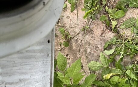 Citroen Jumpy III, 2006 год, 320 000 рублей, 6 фотография