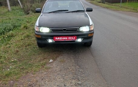 Toyota Corolla, 2002 год, 300 000 рублей, 1 фотография