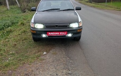 Toyota Corolla, 2002 год, 300 000 рублей, 1 фотография