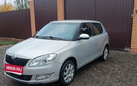 Skoda Fabia II, 2013 год, 750 000 рублей, 2 фотография
