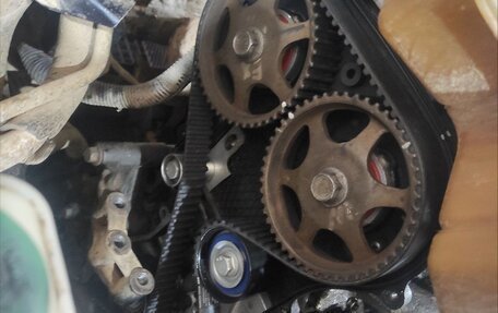 Vortex Estina II (FL-C), 2009 год, 160 000 рублей, 6 фотография