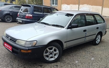 Toyota Corolla, 1999 год, 355 000 рублей, 1 фотография