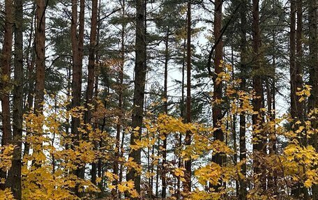 BMW 3 серия, 2000 год, 1 050 000 рублей, 2 фотография