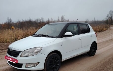 Skoda Fabia II, 2011 год, 385 000 рублей, 37 фотография