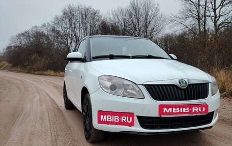 Skoda Fabia II, 2011 год, 385 000 рублей, 36 фотография