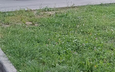 Volkswagen Passat B5+ рестайлинг, 2003 год, 425 000 рублей, 7 фотография