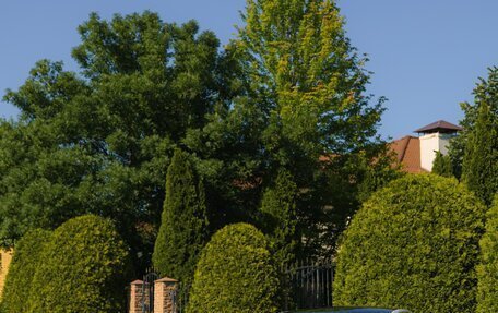 Tesla Model 3 I, 2019 год, 5 фотография