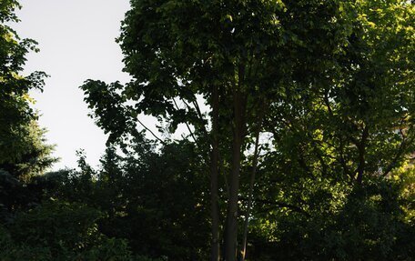 Tesla Model 3 I, 2019 год, 19 фотография