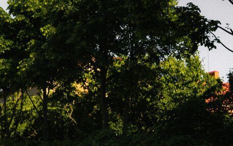 Tesla Model 3 I, 2019 год, 18 фотография