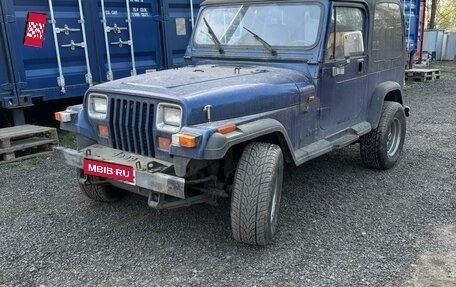 Jeep Wrangler, 1992 год, 1 395 000 рублей, 2 фотография