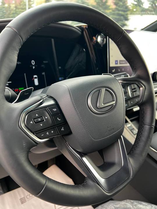 Lexus LM I, 2025 год, 19 400 000 рублей, 14 фотография