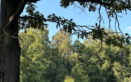 Skoda Octavia, 2014 год, 1 220 000 рублей, 2 фотография