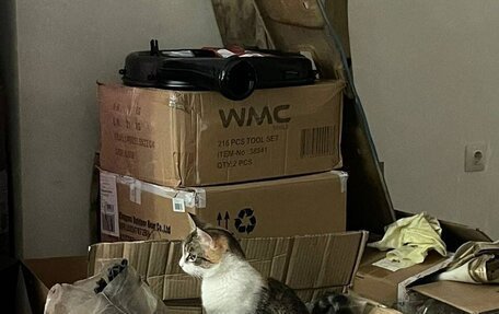 Mercedes-Benz W123, 1983 год, 630 000 рублей, 5 фотография