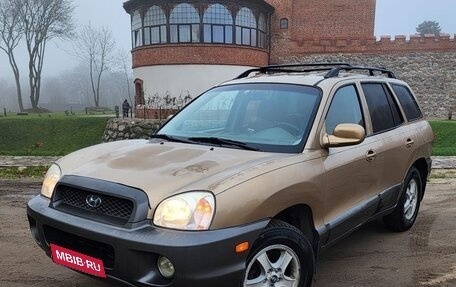 Hyundai Santa Fe III рестайлинг, 2004 год, 480 000 рублей, 1 фотография