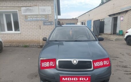 Skoda Fabia I, 2005 год, 380 000 рублей, 1 фотография