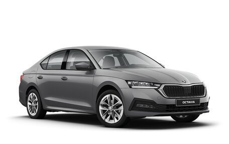 Skoda Octavia IV, 2025 год, 3 900 000 рублей, 1 фотография