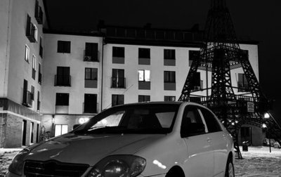 Toyota Corolla, 2003 год, 385 000 рублей, 1 фотография