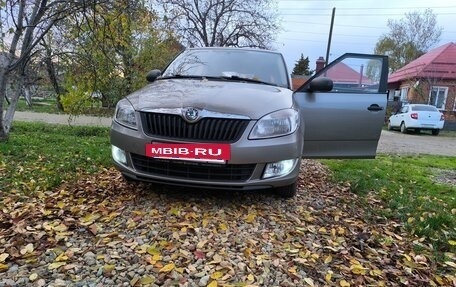 Skoda Fabia II, 2010 год, 700 000 рублей, 14 фотография