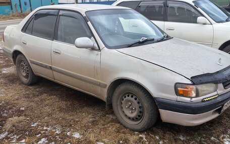 Toyota Corolla, 1996 год, 310 000 рублей, 2 фотография