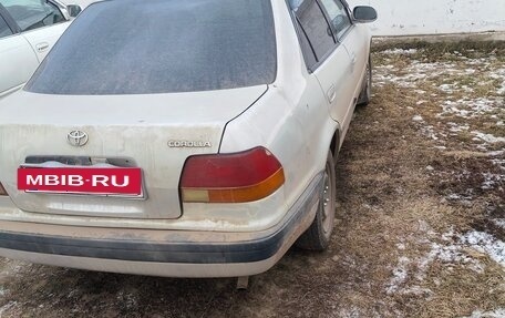 Toyota Corolla, 1996 год, 310 000 рублей, 3 фотография