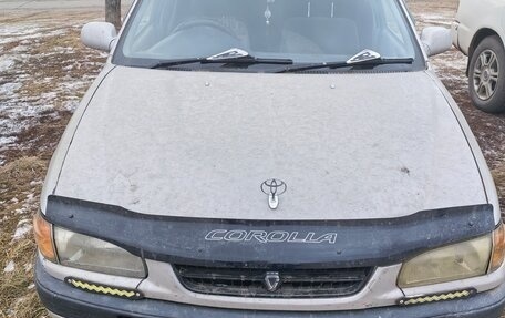 Toyota Corolla, 1996 год, 310 000 рублей, 1 фотография