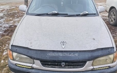 Toyota Corolla, 1996 год, 310 000 рублей, 1 фотография