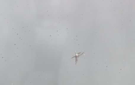 Hyundai Elantra III, 2008 год, 595 000 рублей, 27 фотография