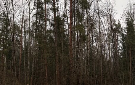 ГАЗ 31029 «Волга», 1997 год, 150 000 рублей, 2 фотография