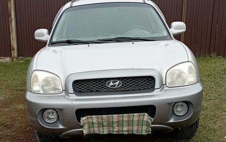 Hyundai Santa Fe III рестайлинг, 2003 год, 490 000 рублей, 19 фотография